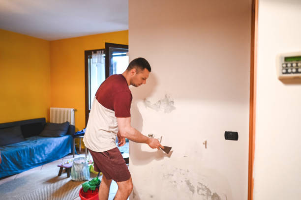 Best Health and Safety Mold Remediation in Peoria, IL